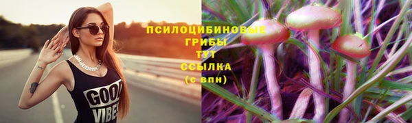 соль ск Майский