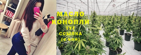 гашик Мегион