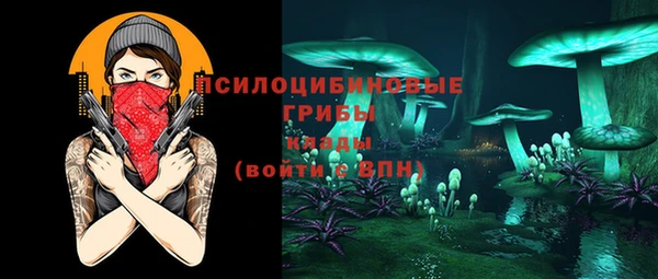 spice Медвежьегорск